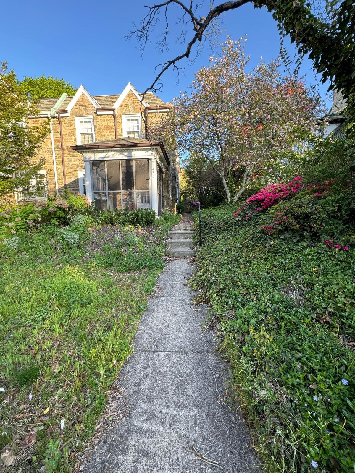 Yard cleanup work by Green Force Property Services